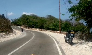 Amankan Jalur Kunjungan Gubernur, Personel Polsek Rote Barat Sapu Jalan