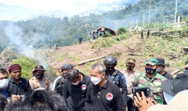 Polri Musnahkan 7 Haktare Ladang Ganja Di Gunung Lauser Dan Sita 592 Kg Ganja Kering
