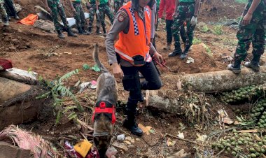 Satu anjing pelacak temukan titik diduga korban tertimbun longsor Cianjur