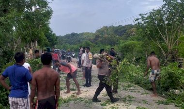 Halangi Jalan Utama, Respon Cepat Polsek Rote Barat Laut Evakuasi Pohon Tumbang