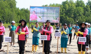 Bhayangkari Peduli Penghijauan, PD NTT Menanam Mangrove di Pantai Litiana Rote