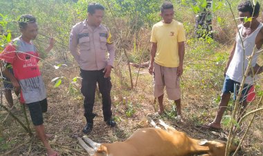 Difasilitasi Bhabinkamtibmas Permasalahan Potong Hewan Berakhir Damai.