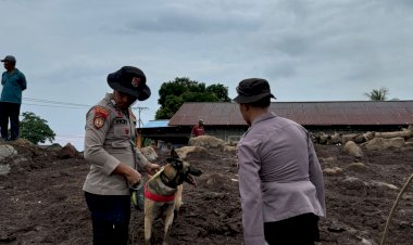 Polri Kerahkan 102 Personel Dan Satu Anjing K9 Cari Korban Longsor Dikelurahan Rua Ternate.