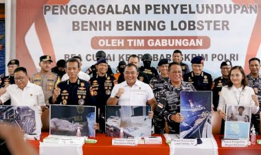 Bareskrim Polri : Gagalkan Penyelundupan 151 Ribu Benih Lobster di Perairan Bintan