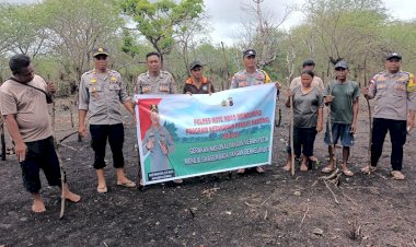 Program Ketahanan Pangan Polsek Rote Timur Dengan Luas 800 M²