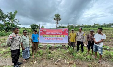 Polsek Rote Tengah Wujudkan Ketahanan Pangan Dengan Pendampingan Kelompok Tani