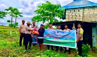 Kapolsek Lobalain : Pada Lahan Percontohan Asta Cita Polsek Lobalain Kami Tambahkan Penanaman Jagung