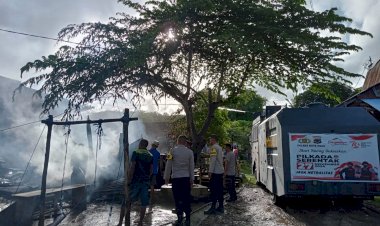 Kebakaran Dimetina Kerugian Mencapai Lebih Dari 100 Juta