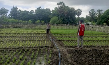 Bhabinkamtibmas Bersama Warga  Binaan Pemilik Lahan Pekarangan Produktif