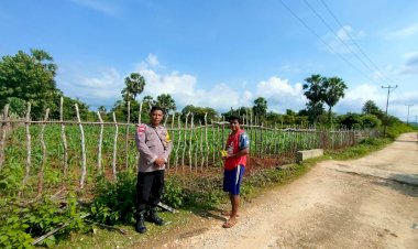 Bhabinkamtibmas Polsek Pantai Baru Serahkan Bantuan Obat Hama kepada Petani