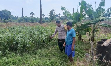 Bhabinkamtibmas Polsek Rote Barat Laut Lakukan Pendampingan Program Ketahanan Pangan
