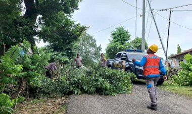 Personel Polsek Lobalain Lakukan Pembersihan Pohon Tumbang Di Jalur Oeleka - Baadale