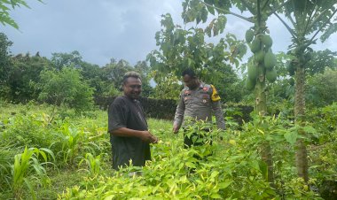 Pendampingan Bhabinkamtibmas Terhadap Warga Binaan Untuk Meningkatkan Produksi Pekarangan Bergizi