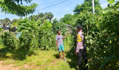 Bhabinkamtibmas Polsek Pantaibaru Monitoring Lahan Pekarangan Bergizi Warga Binaan