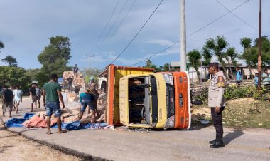 Truck Angkutan Barang Terguling Ditanjakan Kokadale, Muatan Tumpah Di Jalan