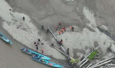 Tantangan Hutan dan Sungai Papua Barat dihadapi oleh Tim SAR dalam Pencarian Iptu Tomi Samuel Marbun