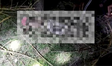 Kapolsek Rote Timur : Seorang Warga Ditemukan Meninggal, Kuat Dugaan Jatuh Dari Pohon