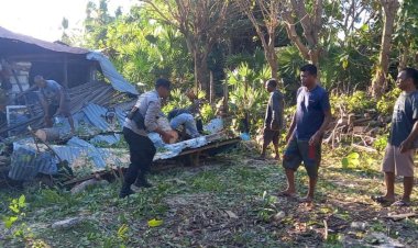Bencana Angin Kencang Akibatkan Pohon Tumbang, Personel Polsek Lobalain Bersama Warga Evakuasi Sisa Material
