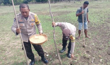 Dukung Asta Cita, Polsek Rote Timur dan Warga Tanam Jagung