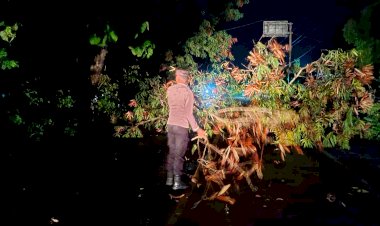 Polsek Pantaibaru Bersama Warga Bersihkan Material Pohon Tumbang