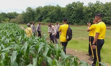 Supervisi Program Ketahanan Pangan, Langkah Polres Rote Ndao  Dukung Astacita