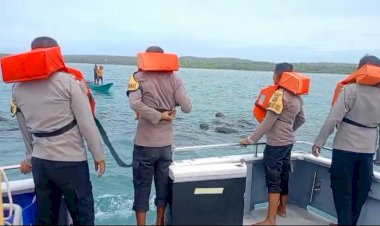 Kapolsek RBD : Personel Polsek RBD dan Nelayan  Giring Gerombolan Paus Pilot ke Perairan Lebih Dalam