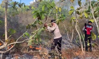 Dengan Alat Seadanya, Personel Polsek Rote Barat Berjibaku Padamkan Karhutlah