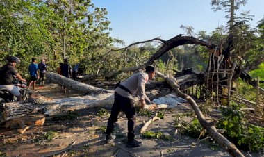 Bersama Warga, Personel Polsek Pantai Baru Bersihkan Material Pohon Tumbang
