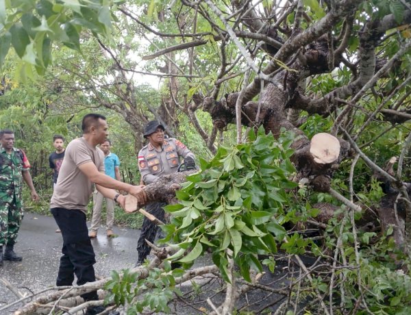 Kapolres Rote Ndao Bersama Personel Buka Akses Jalan Karena Adanya Pohon Tumbang