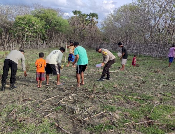 Personel Polsek RBD Tanam Jagung Bersama Masyarakat, Dukung Ketahanan Pangan