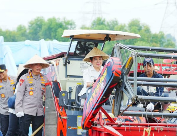 Kapolri-Ketua Komisi IV Pimpin Panen Raya Jagung Serentak, Wujud Nyata Dukung Ketahanan Pangan Nasional