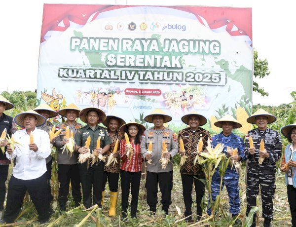 Kapolda NTT Pimpin Panen Raya Jagung Kuartal IV 2025, Perkuat NTT sebagai Lumbung Jagung Nasional