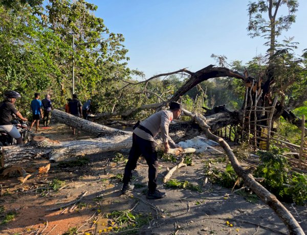 Bersama Warga, Personel Polsek Pantai Baru Bersihkan Material Pohon Tumbang
