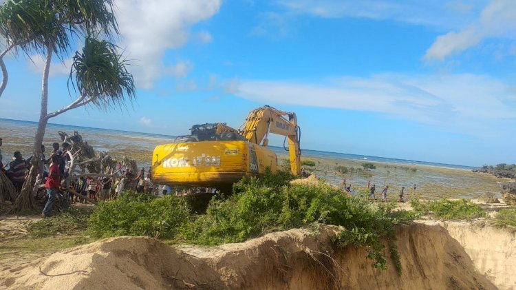 Gunakan Alat Berat, Bangkai Ikan Paus Sperma Dikubur Di Tepi Pantai