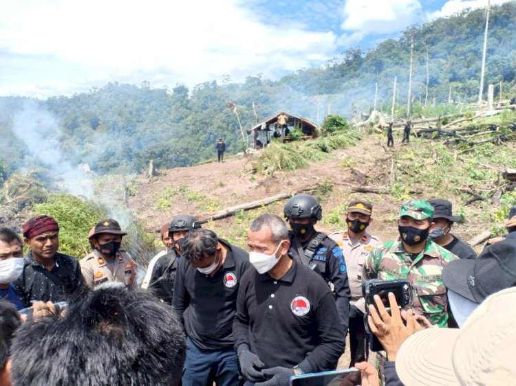 Polri Musnahkan 7 Haktare Ladang Ganja Di Gunung Lauser Dan Sita 592 Kg Ganja Kering