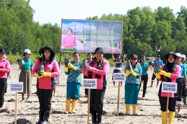 Bhayangkari Peduli Penghijauan, PD NTT Menanam Mangrove di Pantai Litiana Rote