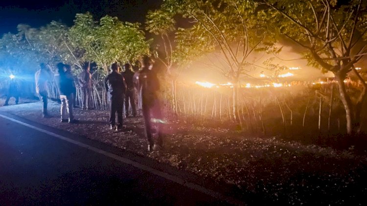 Pimpin Patroli KRYD, Kapolres Turun Langsung Berjibaku Upayakan Pemadaman Api Karhutlah di Perbatasan Rote Timur - Pantai Baru