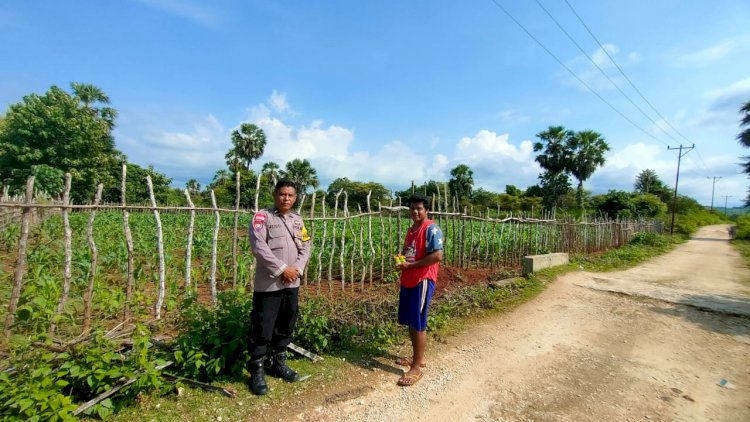Bhabinkamtibmas Polsek Pantai Baru Serahkan Bantuan Obat Hama kepada Petani