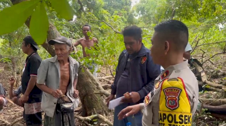 Kapolsek Rote Tengah : Dua Terduga Pelaku Pencuri Sapi Diperiksa Intensif