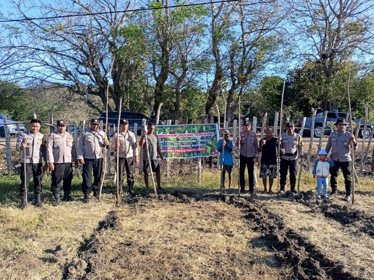 Dukung Asta Cita Pemerintah, Polsek Pantaibaru Bersama Masyarakat Menggelar Penanaman Jagung Di Desa Tungganamo