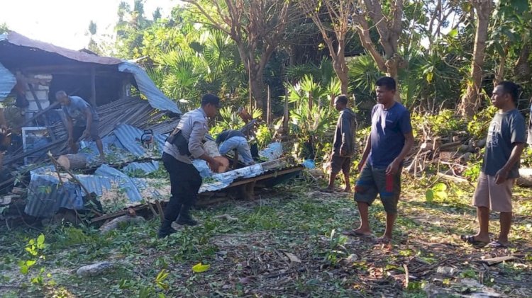 Bencana Angin Kencang Akibatkan Pohon Tumbang, Personel Polsek Lobalain Bersama Warga Evakuasi Sisa Material