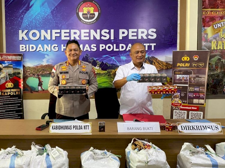 Polda NTT Ungkap Dua Kasus Perdagangan Tanpa Izin, 2.590 Bungkus Rokok Ilegal Disita