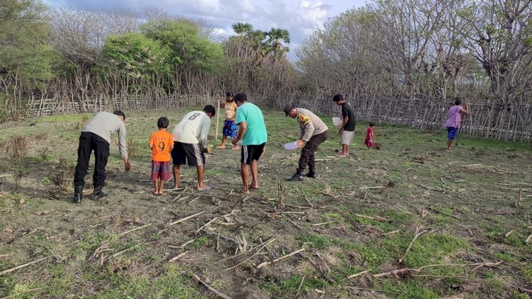 Personel Polsek RBD Tanam Jagung Bersama Masyarakat, Dukung Ketahanan Pangan