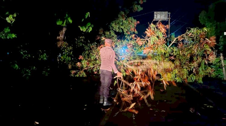 Polsek Pantaibaru Bersama Warga Bersihkan Material Pohon Tumbang