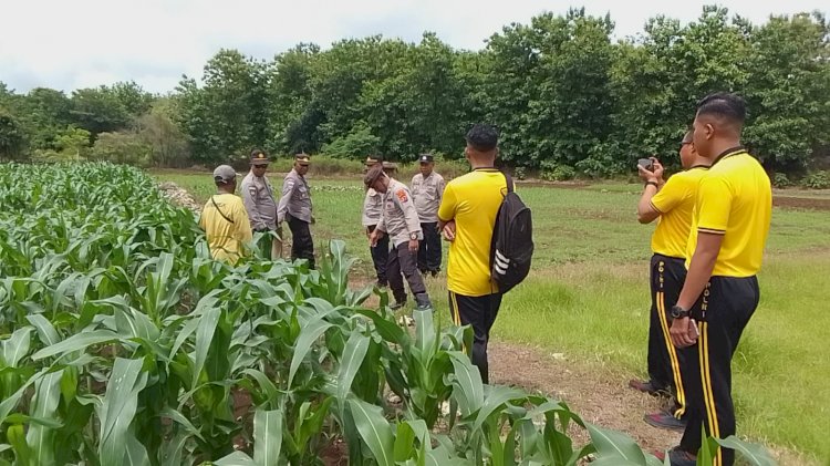 Supervisi Program Ketahanan Pangan, Langkah Polres Rote Ndao  Dukung Astacita