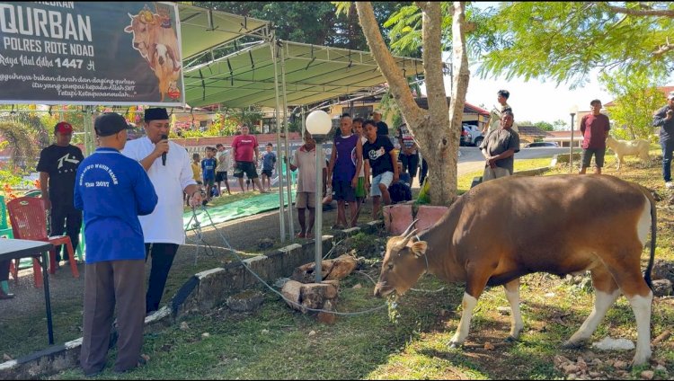 Kapolres Rote Ndao  dan Anggota Sembelih 5 Ekor Sapi dan 6 Ekor Kambing Kurban