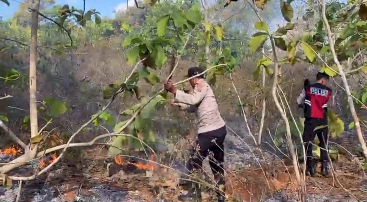 Dengan Alat Seadanya, Personel Polsek Rote Barat Berjibaku Padamkan Karhutlah